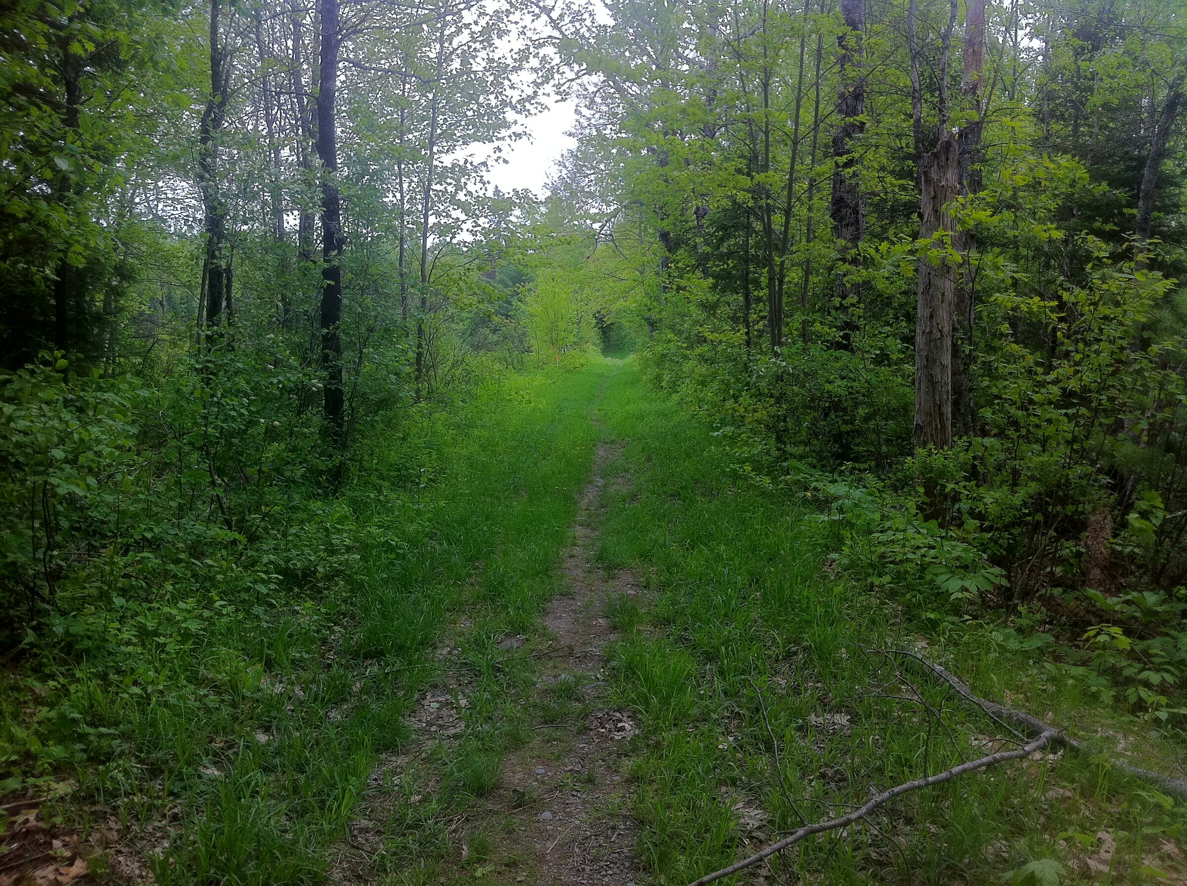 img_16041.jpg
