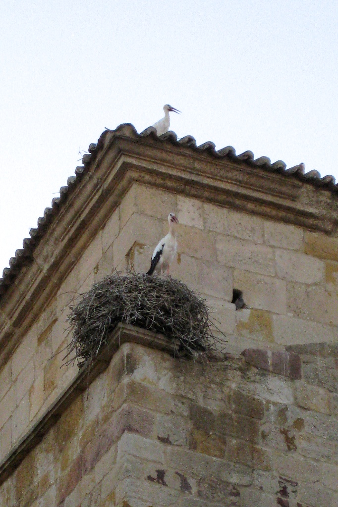 img_8985-version-21.jpg