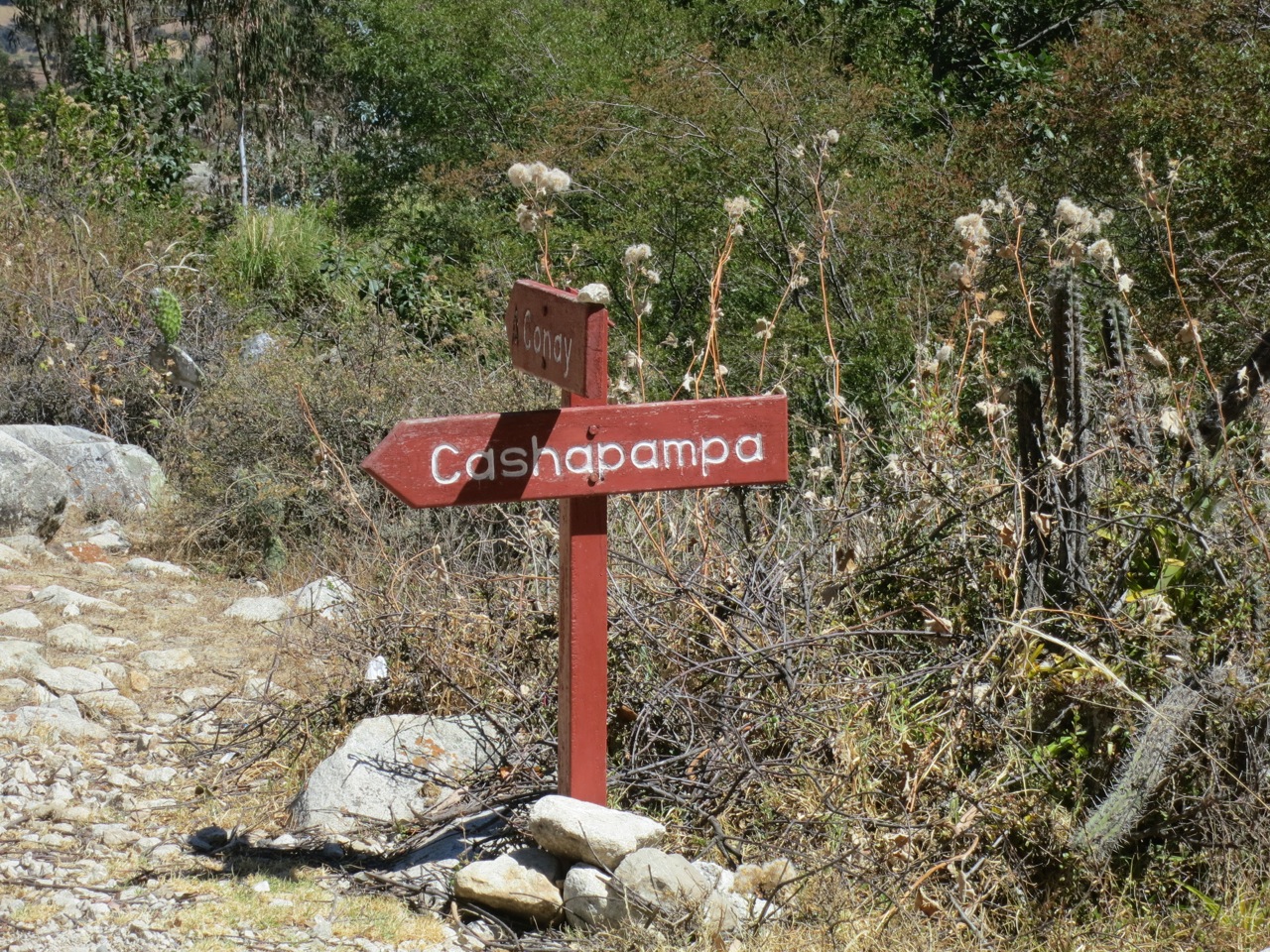 img_08981.jpg